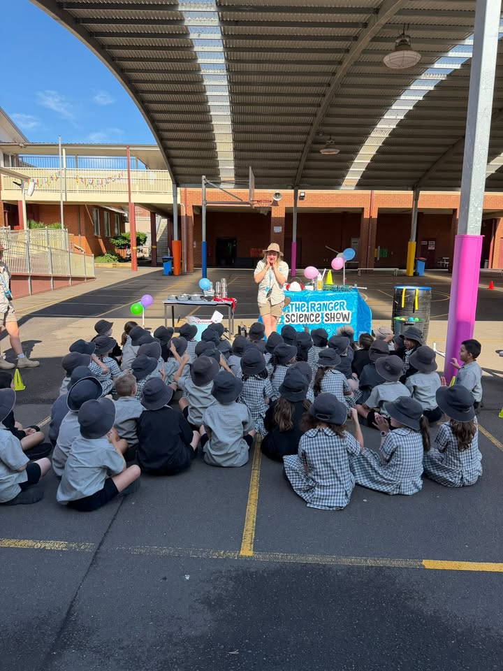 612596187321775_1346059407308779-1