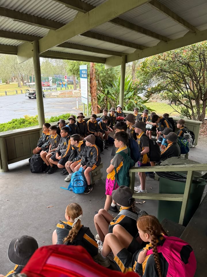 612596187321775_1364448968803156-1