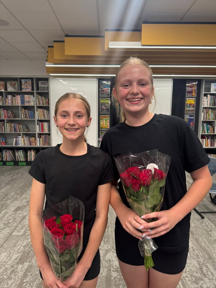 612596187321775_1367938335120886-1