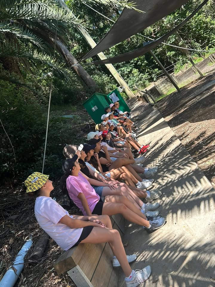 612596187321775_1374525364462183-1