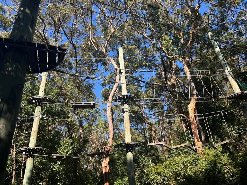 612596187321775_1375195277728525-1