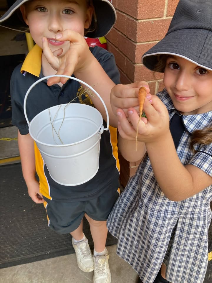 612596187321775_1384630296785023-1