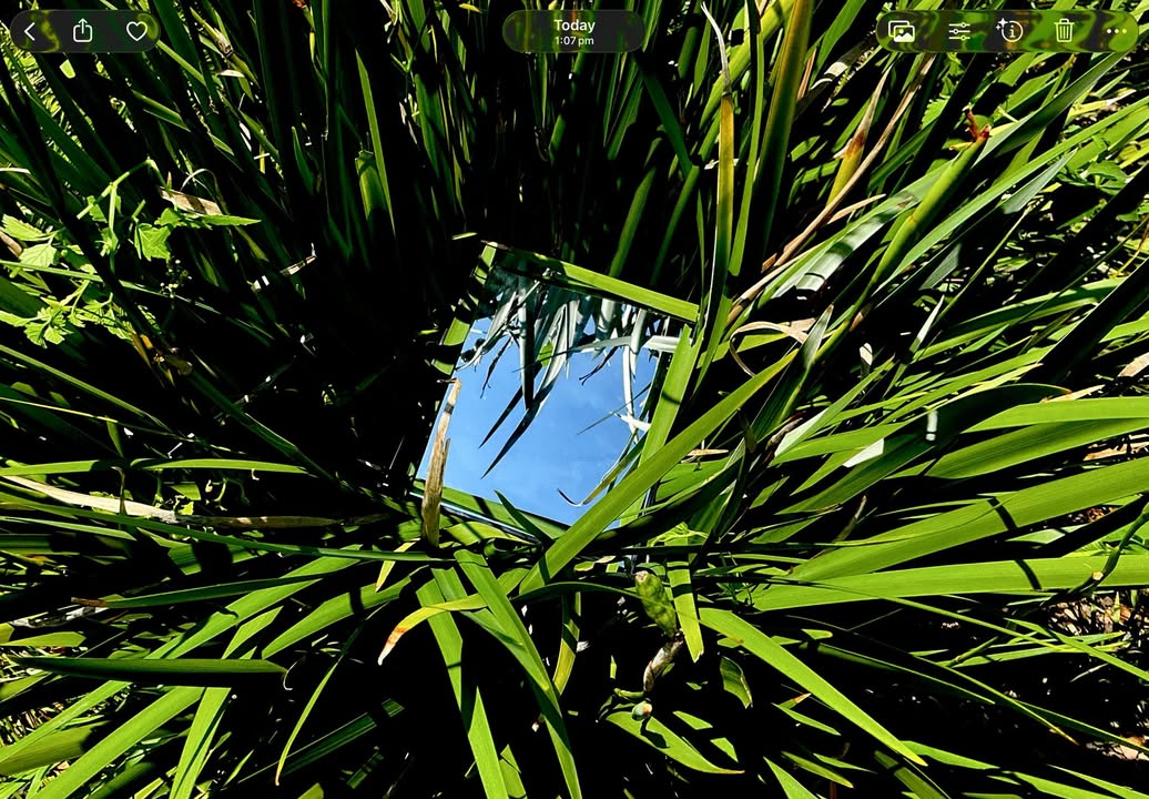 612596187321775_1450484490199603-1