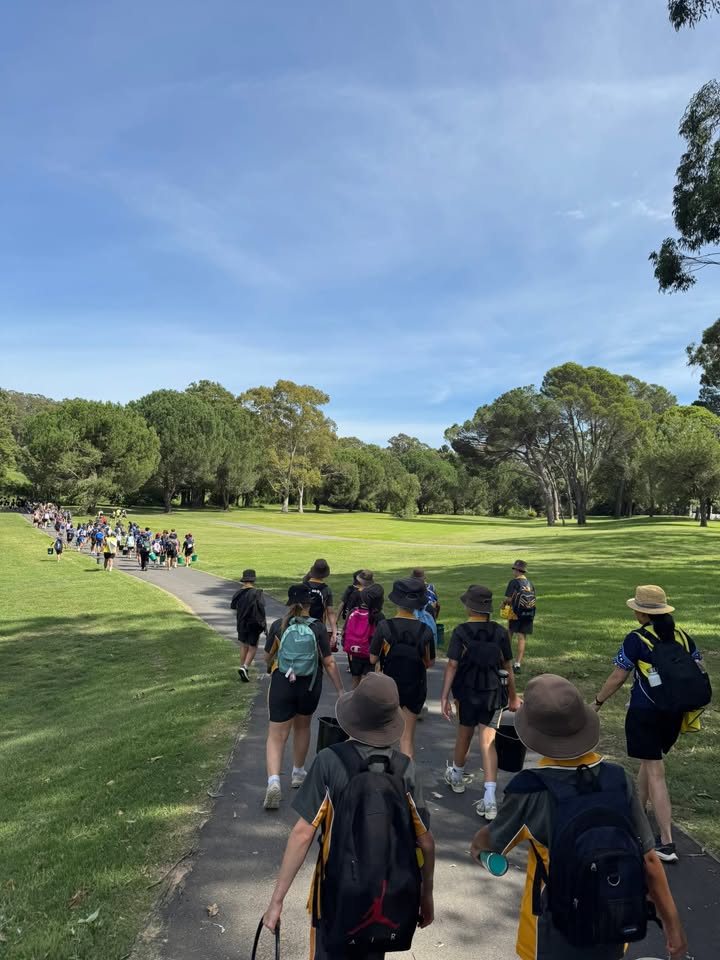 612596187321775_1458414922739893-1