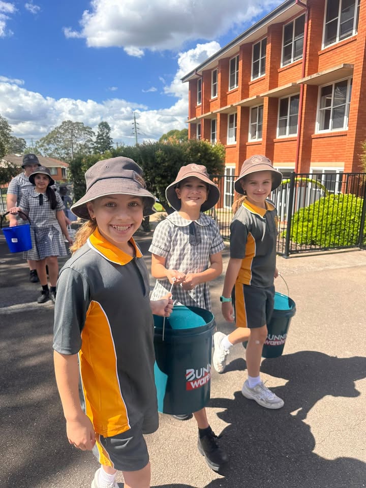 612596187321775_1471260291455356-1